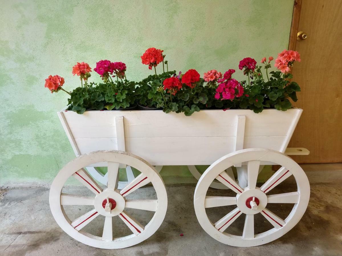 El Paraiso De Zacatlan Departamento Con Jardin, 11 Pax Exterior foto
